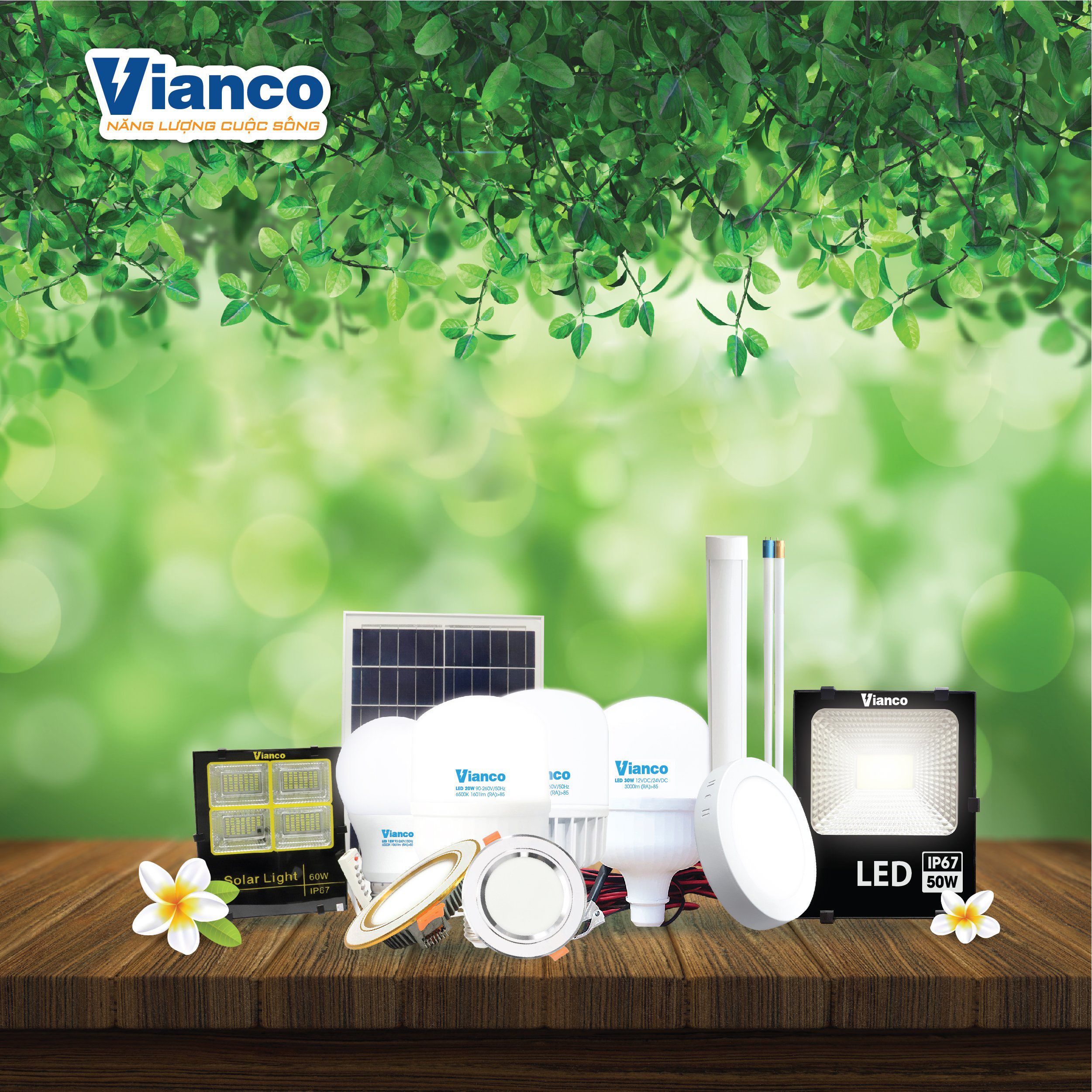 chieu sang xanh den vianco4